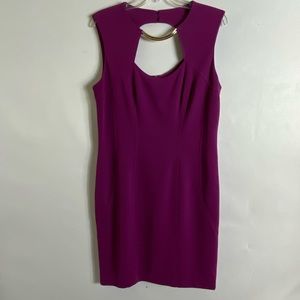 Caddie dress NWOT
